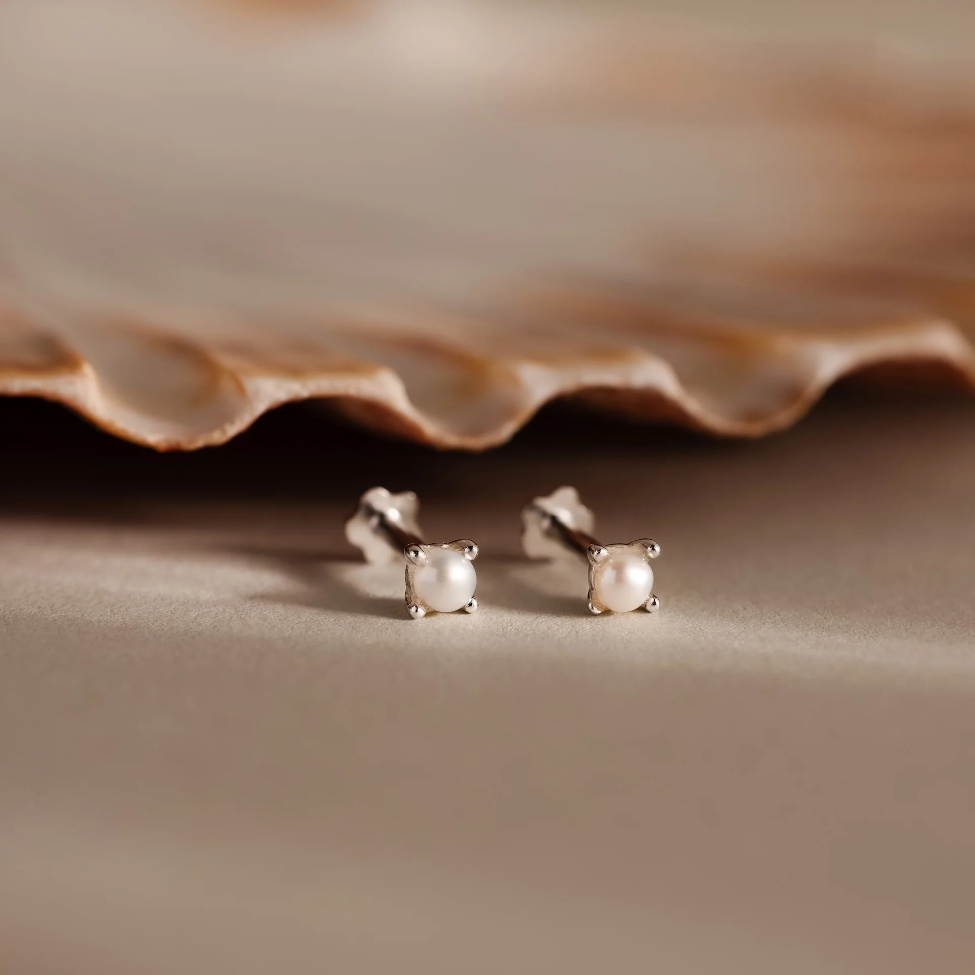 Baby Venus Flatback Studs in Silver - Image 5