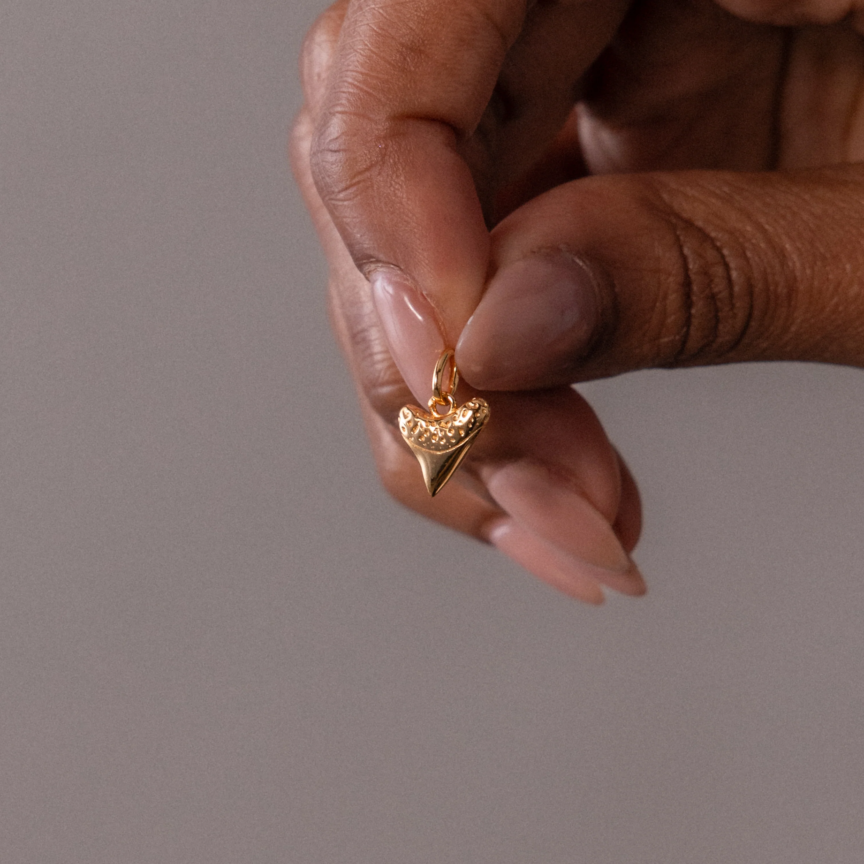 Dainty Shark Tooth Charm - Image 5
