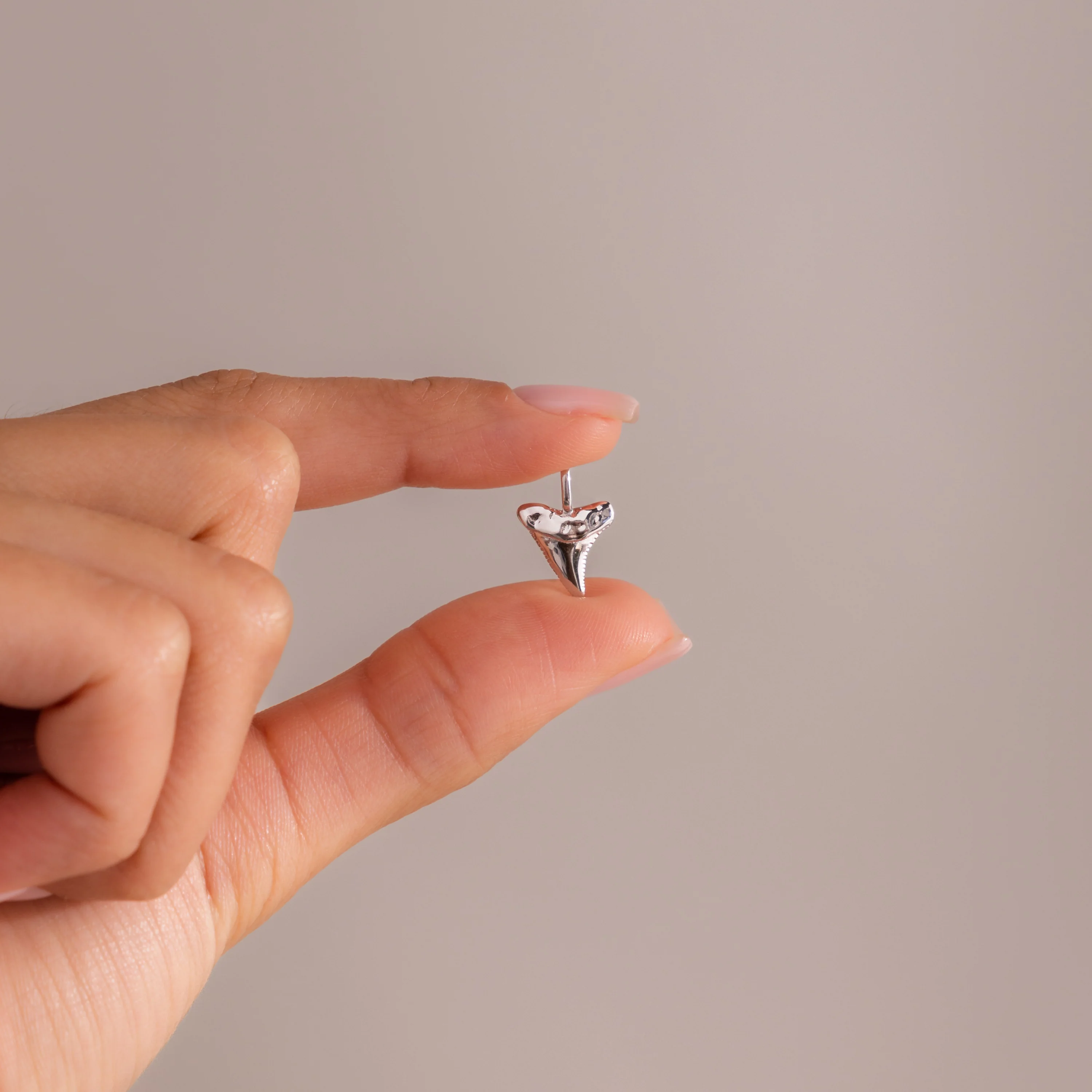 Shark Tooth Charm in Silver - Image 2