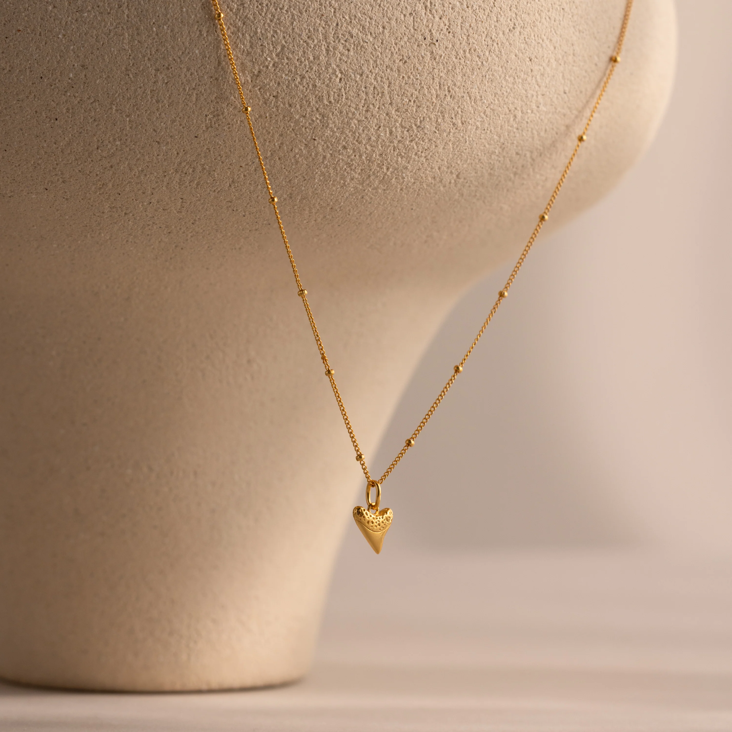 Shark Tooth Necklace - Image 8